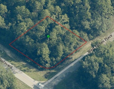 Buildable Lot in Citrus Springs presenting an excellent - photo 4