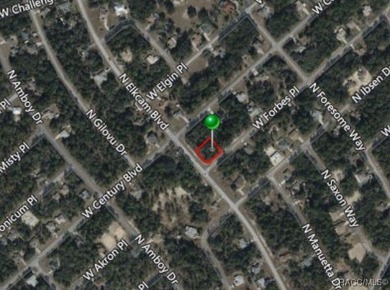 Buildable Lot in Citrus Springs presenting an excellent - photo 5