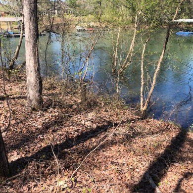 Lake Lot For Sale in Arley, Alabama