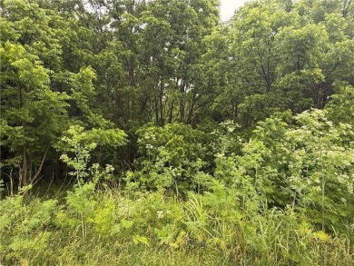 Lake Acreage For Sale in Climax Springs, Missouri