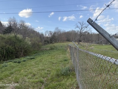 6.81 Acres! I am so excited to share this property in the heart - photo 49