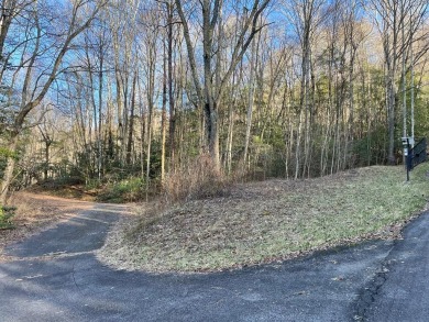 Lake Lot For Sale in Topton, North Carolina