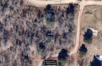(private lake, pond, creek) Lot For Sale in Harrison Michigan