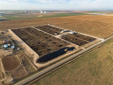 (private lake, pond, creek) Acreage For Sale in Hereford Texas