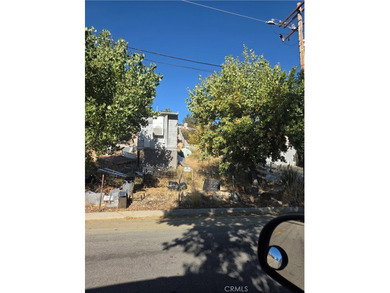 Elizabeth Lake Home For Sale in Lake Elizabeth California