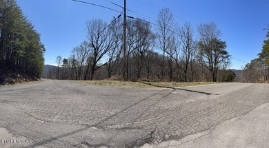 WOW a 3 for 1!!!! The primary Lakefront Lot #31 is a whopping 14 - photo 11