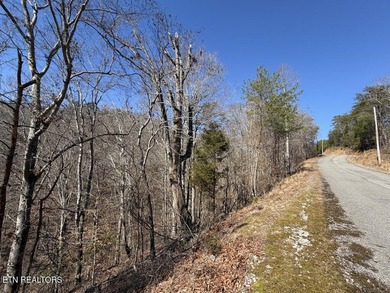 WOW a 3 for 1!!!! The primary Lakefront Lot #31 is a whopping 14 - photo 13