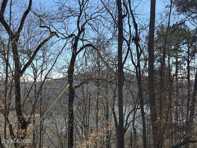 WOW a 3 for 1!!!! The primary Lakefront Lot #31 is a whopping 14 - photo 14