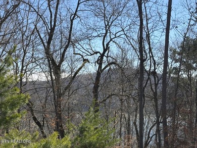 WOW a 3 for 1!!!! The primary Lakefront Lot #31 is a whopping 14 - photo 15