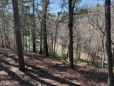 WOW a 3 for 1!!!! The primary Lakefront Lot #31 is a whopping 14 - photo 16