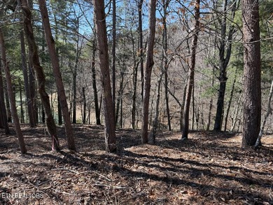 WOW a 3 for 1!!!! The primary Lakefront Lot #31 is a whopping 14 - photo 17