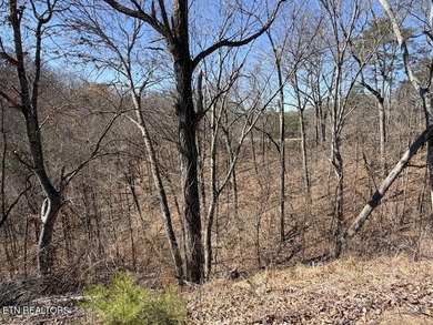 WOW a 3 for 1!!!! The primary Lakefront Lot #31 is a whopping 14 - photo 18