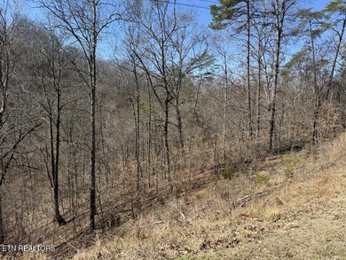 WOW a 3 for 1!!!! The primary Lakefront Lot #31 is a whopping 14 - photo 20