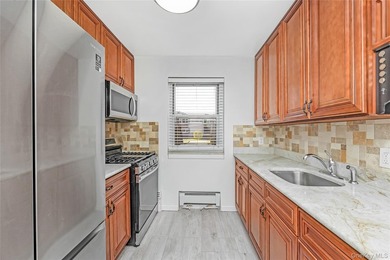 Move right into a fully renovated, spacious, and sun-filled - photo 10