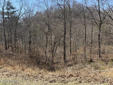 WOW a 3 for 1!!!! The primary Lakefront Lot #31 is a whopping 14 - photo 21