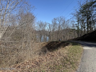 WOW a 3 for 1!!!! The primary Lakefront Lot #31 is a whopping 14 - photo 22
