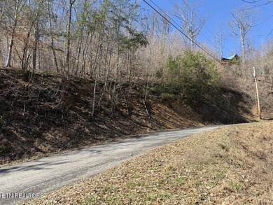 WOW a 3 for 1!!!! The primary Lakefront Lot #31 is a whopping 14 - photo 23