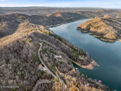 WOW a 3 for 1!!!! The primary Lakefront Lot #31 is a whopping 14 - photo 25