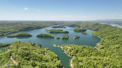 WOW a 3 for 1!!!! The primary Lakefront Lot #31 is a whopping 14 - photo 27