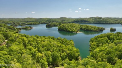 WOW a 3 for 1!!!! The primary Lakefront Lot #31 is a whopping 14 - photo 28