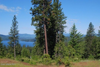 Lake Lot For Sale in Harrison, Idaho