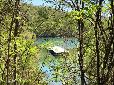 WOW a 3 for 1!!!! The primary Lakefront Lot #31 is a whopping 14 - photo 32