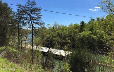 WOW a 3 for 1!!!! The primary Lakefront Lot #31 is a whopping 14 - photo 33