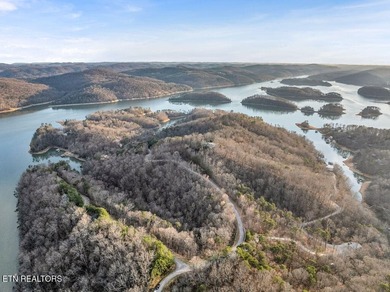 WOW a 3 for 1!!!! The primary Lakefront Lot #31 is a whopping 14 - photo 34