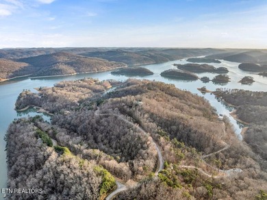 WOW a 3 for 1!!!! The primary Lakefront Lot #31 is a whopping 14 - photo 35