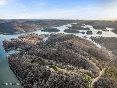 WOW a 3 for 1!!!! The primary Lakefront Lot #31 is a whopping 14 - photo 36