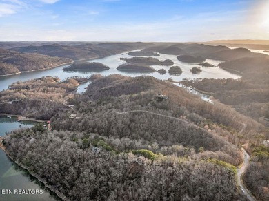 WOW a 3 for 1!!!! The primary Lakefront Lot #31 is a whopping 14 - photo 37