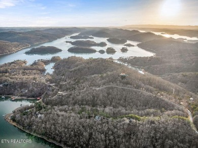 WOW a 3 for 1!!!! The primary Lakefront Lot #31 is a whopping 14 - photo 38
