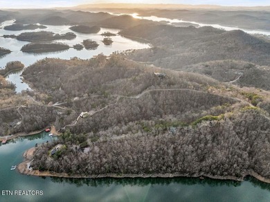 WOW a 3 for 1!!!! The primary Lakefront Lot #31 is a whopping 14 - photo 39