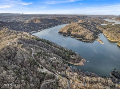 WOW a 3 for 1!!!! The primary Lakefront Lot #31 is a whopping 14 - photo 42
