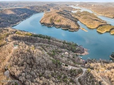 WOW a 3 for 1!!!! The primary Lakefront Lot #31 is a whopping 14 - photo 43