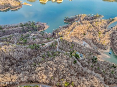 WOW a 3 for 1!!!! The primary Lakefront Lot #31 is a whopping 14 - photo 44