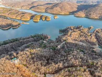 WOW a 3 for 1!!!! The primary Lakefront Lot #31 is a whopping 14 - photo 45
