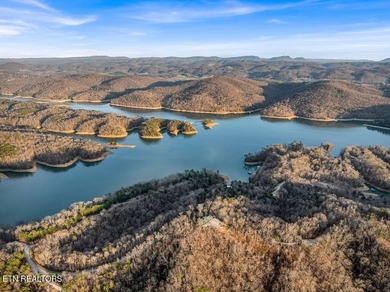 WOW a 3 for 1!!!! The primary Lakefront Lot #31 is a whopping 14 - photo 46