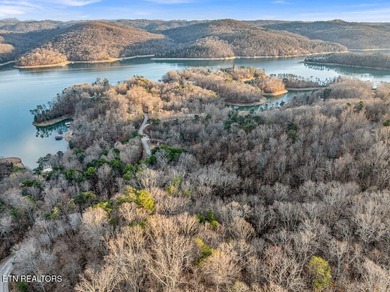 WOW a 3 for 1!!!! The primary Lakefront Lot #31 is a whopping 14 - photo 47