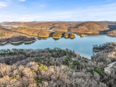 WOW a 3 for 1!!!! The primary Lakefront Lot #31 is a whopping 14 - photo 48