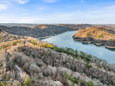 WOW a 3 for 1!!!! The primary Lakefront Lot #31 is a whopping 14 - photo 49