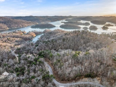WOW a 3 for 1!!!! The primary Lakefront Lot #31 is a whopping 14 - photo 50
