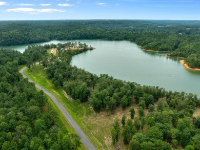 Slick Ford is one of the newest developments on Smith Lake - photo 3