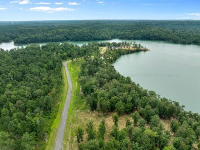 Slick Ford is one of the newest developments on Smith Lake - photo 4