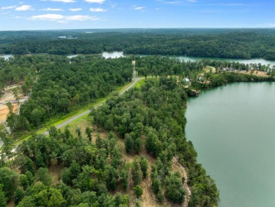 Slick Ford is one of the newest developments on Smith Lake - photo 5