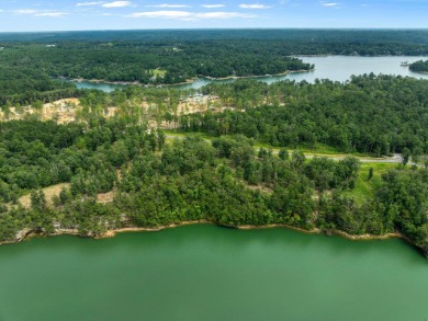 Slick Ford is one of the newest developments on Smith Lake - photo 6