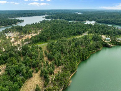 Slick Ford is one of the newest developments on Smith Lake - photo 7