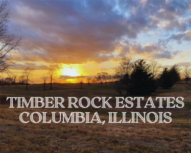 Lake Lot For Sale in Columbia, Illinois