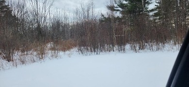 Great lot thats partially cleared and power at street - photo 1