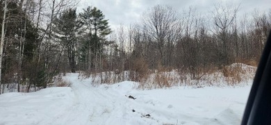 Great lot thats partially cleared and power at street - photo 2